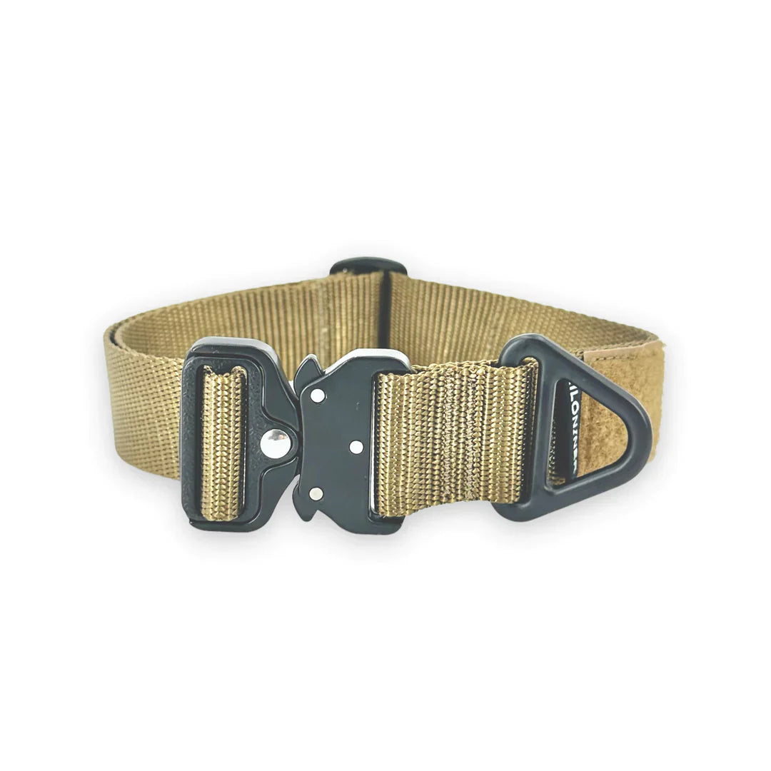 BCH Big Dog Collar Heavy Duty