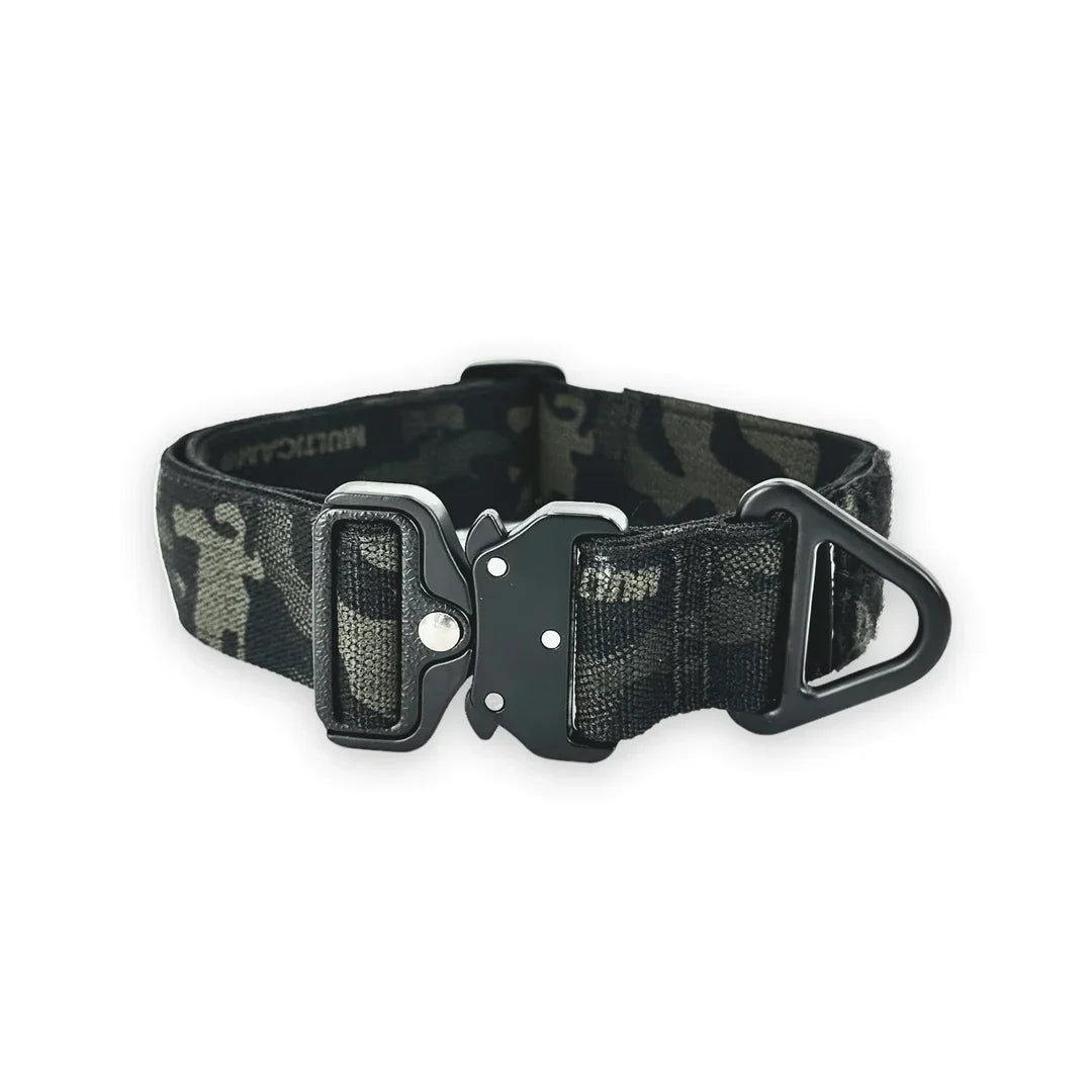 BCH Big Dog Collar Heavy Duty