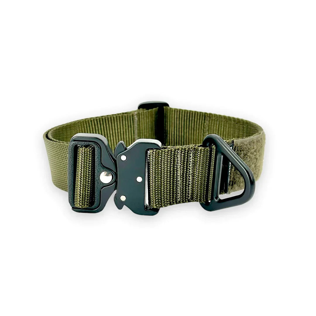 BCH Big Dog Collar Heavy Duty