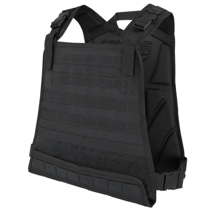 Compact Plate Carrier