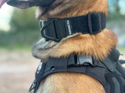 BCH Big Dog Collar Heavy Duty